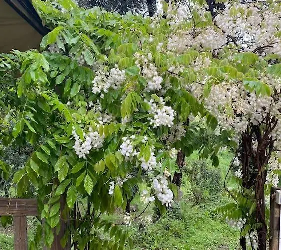 Mobilhome à La Campagne Porto Vecchio