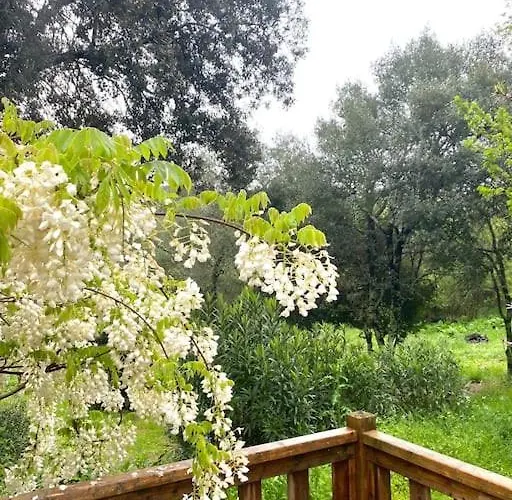 Casa vacanze Mobilhome à La Campagne *